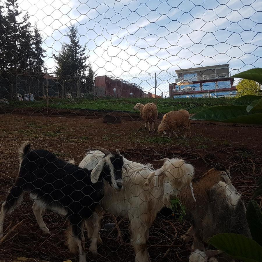 Oulad Yakoub Ferme Bouhouch 아파트 외부 사진