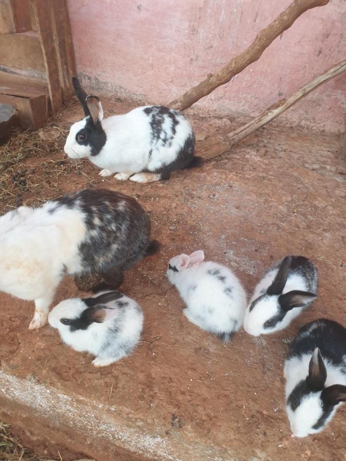 Oulad Yakoub Ferme Bouhouch 아파트 외부 사진