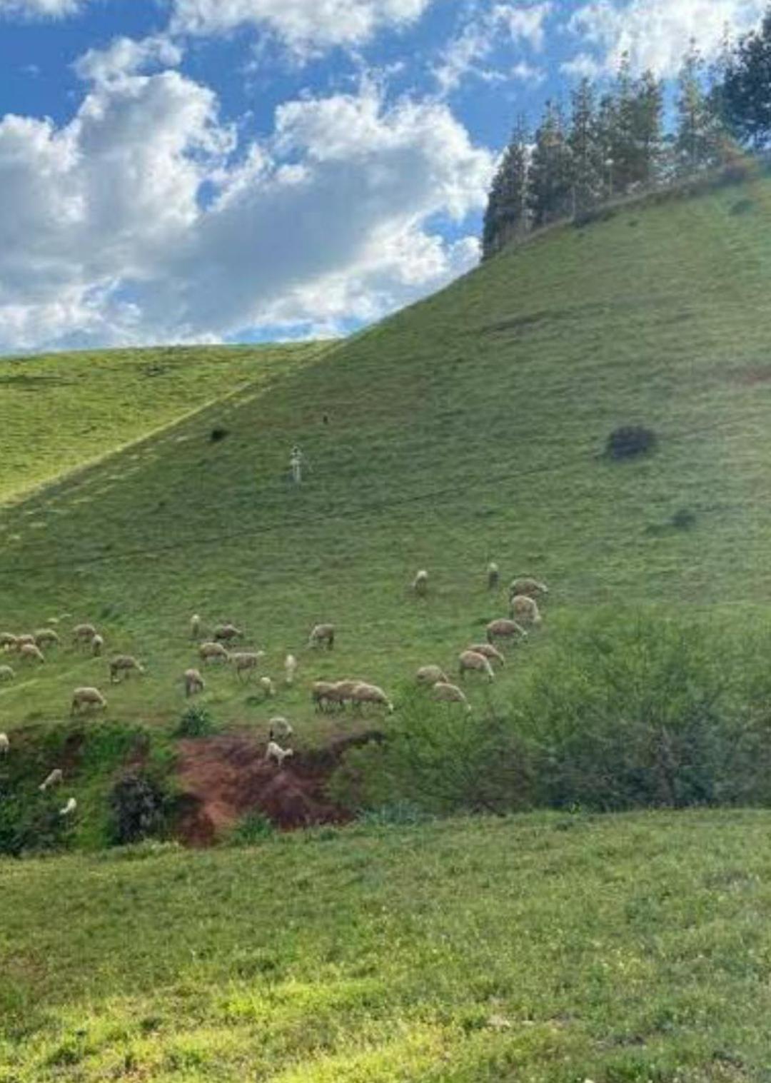 Oulad Yakoub Ferme Bouhouch 아파트 외부 사진