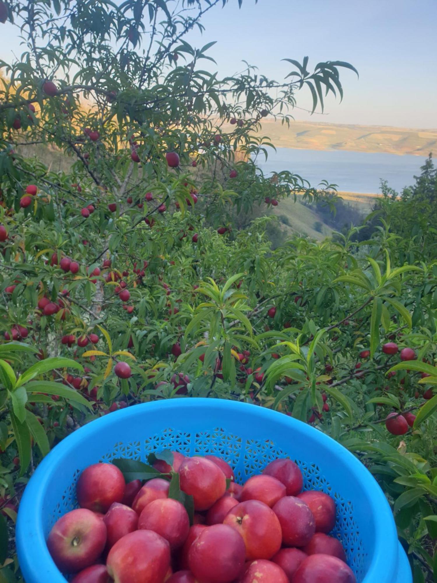 Oulad Yakoub Ferme Bouhouch 아파트 외부 사진