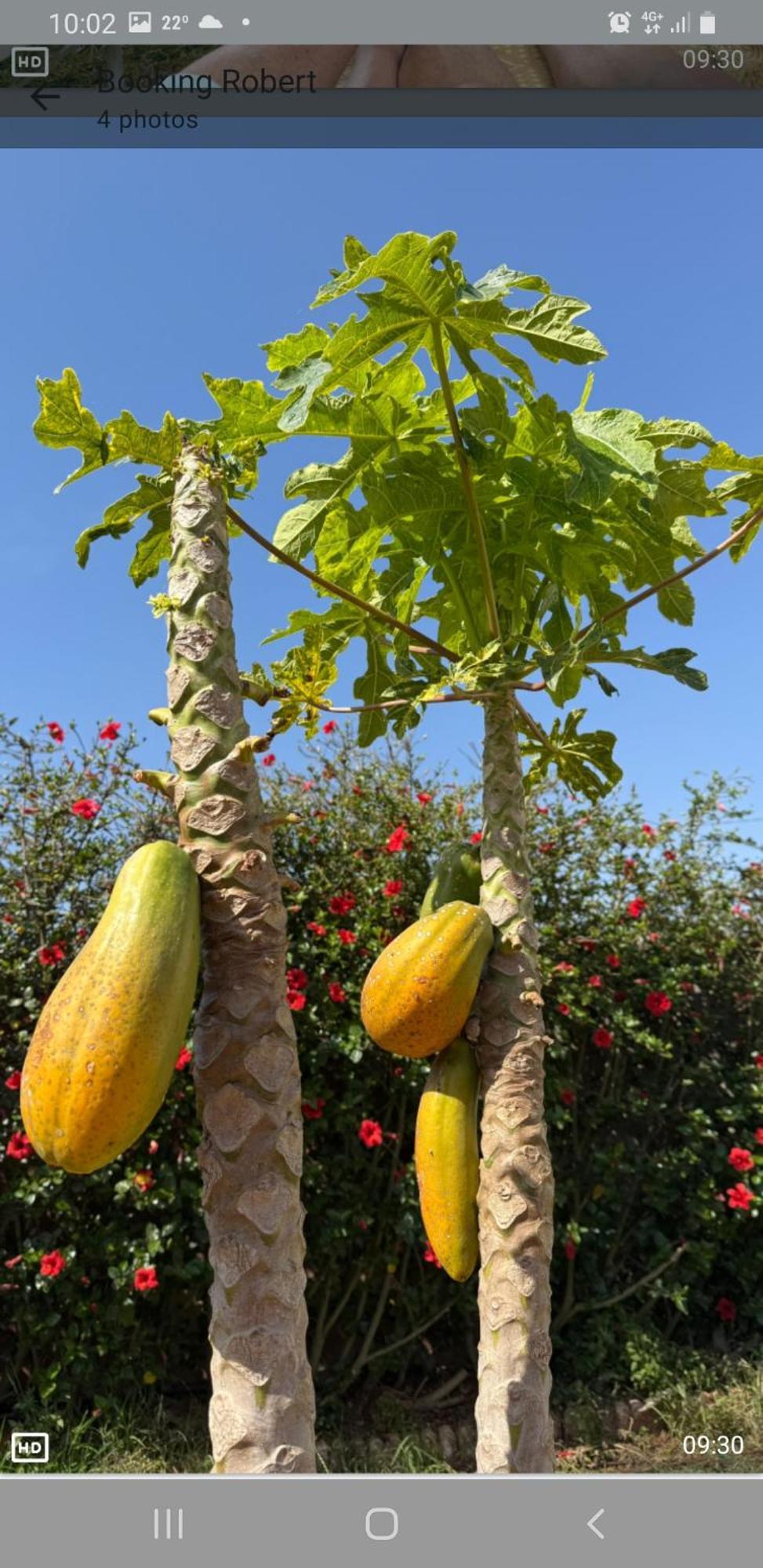 Oulad Yakoub Ferme Bouhouch 아파트 외부 사진